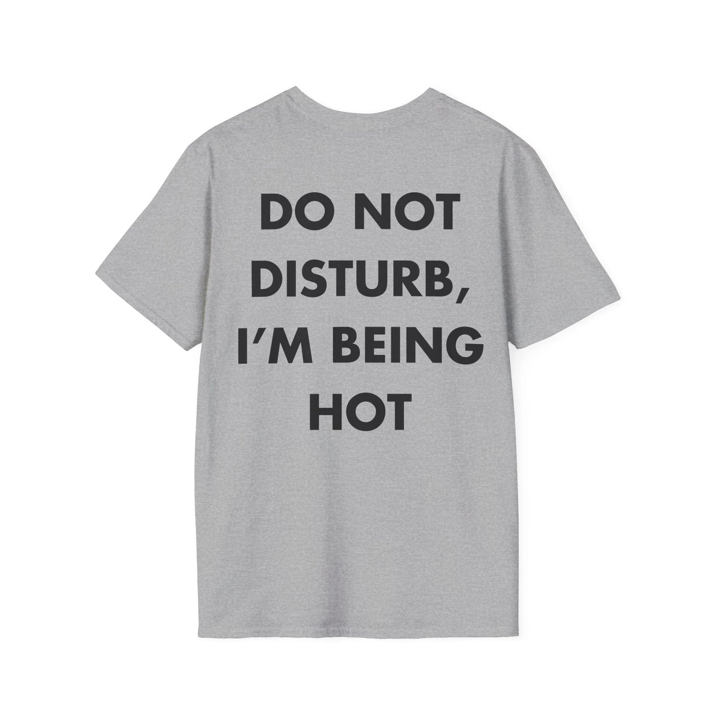 DO NOT DISTURB, I’M BEING HOT - Everything I Love - Unisex T-Shirt - Back Print - STREET STYLE