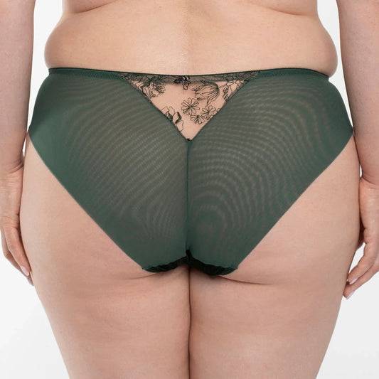 Velvet Sheer Embroidered Brief Panty Ola - STREET STYLE