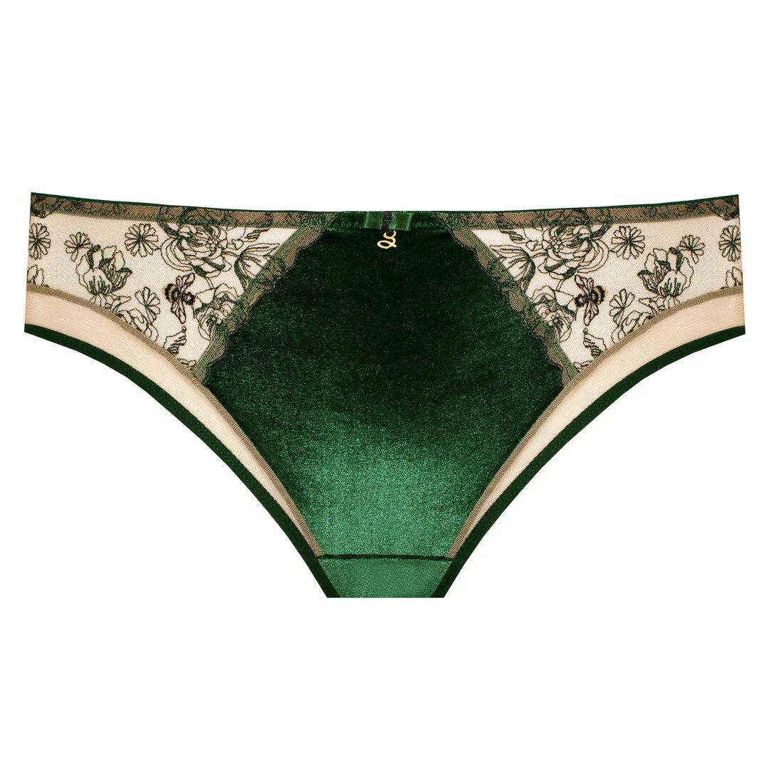 Velvet Sheer Embroidered Brief Panty Ola - STREET STYLE