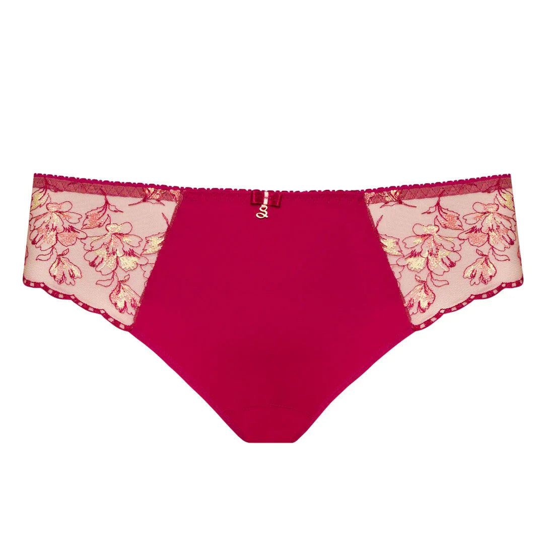 Sheer Mesh Tulle Embroidered Bikini Panty Daniela - STREET STYLE