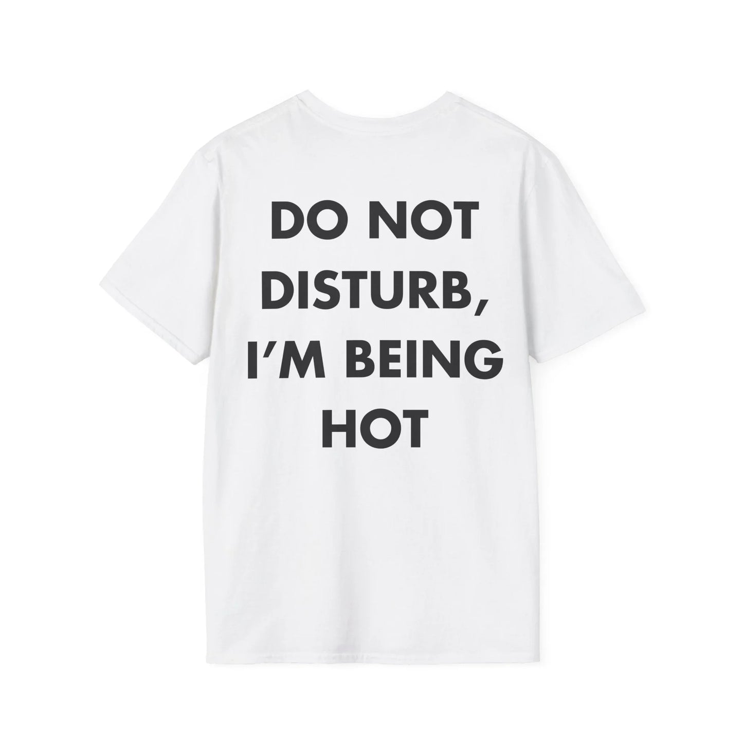DO NOT DISTURB, I’M BEING HOT - Everything I Love - Unisex T-Shirt - Back Print - STREET STYLE