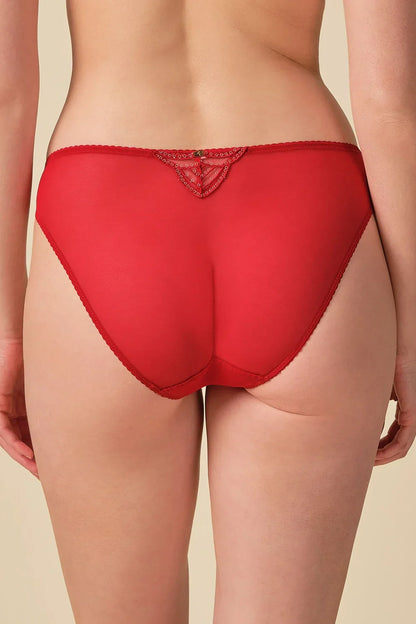 Gossard Viva Red Sheer Embroidered Bikini Panties - STREET STYLE
