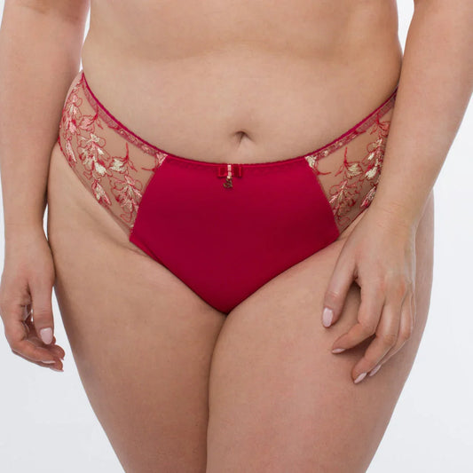 Sheer Mesh Tulle Embroidered Bikini Panty Daniela - STREET STYLE