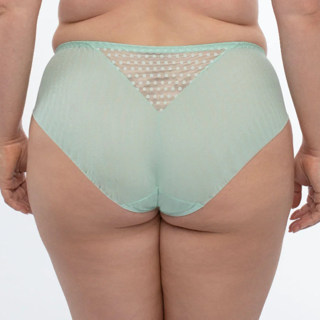 Sheer Mesh Tulle Embroidered Bikini Panty Juno - STREET STYLE