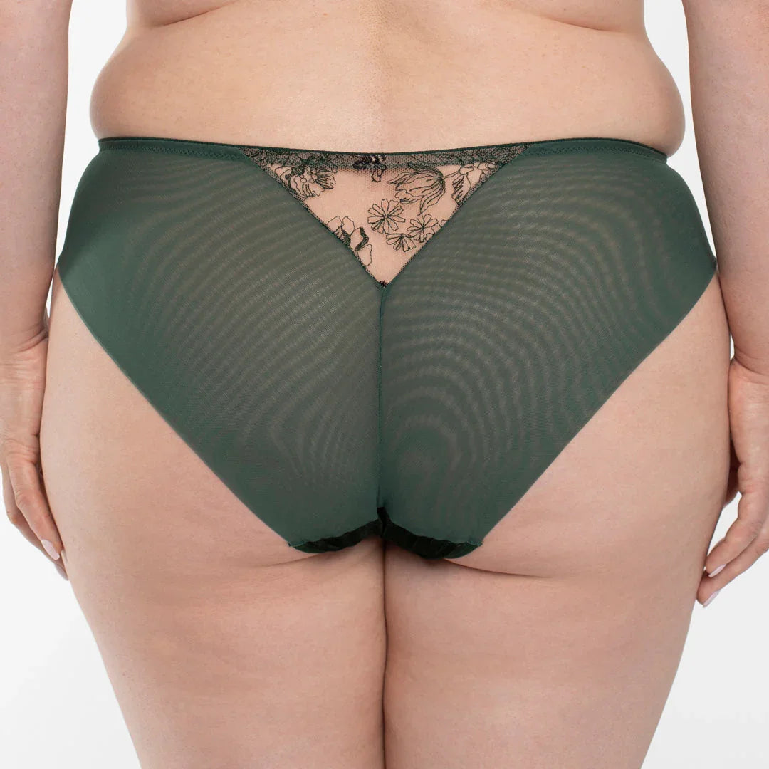 Velvet Sheer Embroidered Brief Panty Ola - STREET STYLE