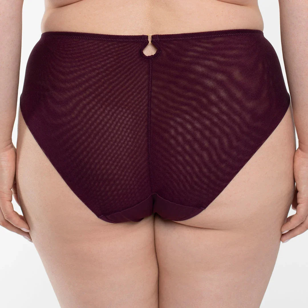 Sheer Mesh Tulle Embroidered Brief Panty Perla Aubergine - STREET STYLE