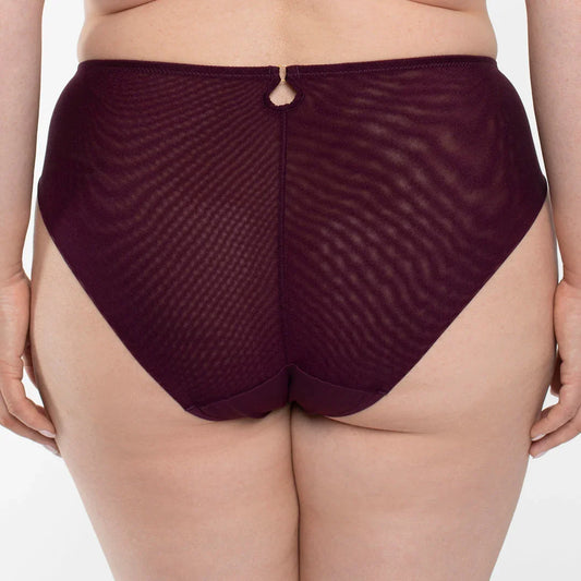 Sheer Mesh Tulle Embroidered Brief Panty Perla Aubergine - STREET STYLE