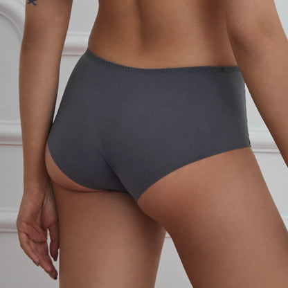 Semi Sheer Mesh Maxi Brief Panty Sharon - STREET STYLE