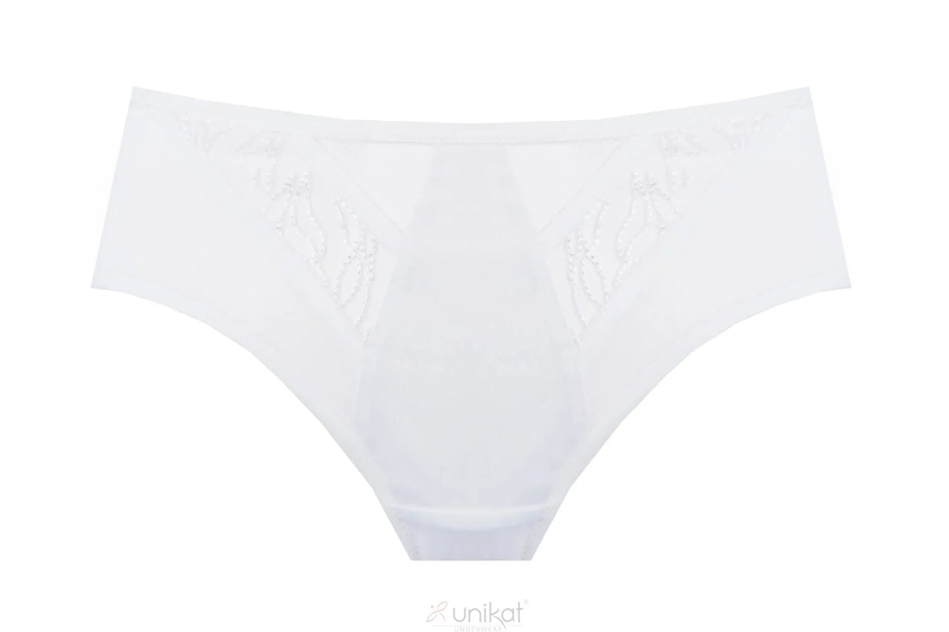 Sheer Mesh Low Rise Bikini Panty Virginia - STREET STYLE