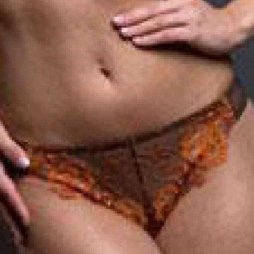 Sheer French Cut Thong Panty Lavinia Wildfire - STREET STYLE