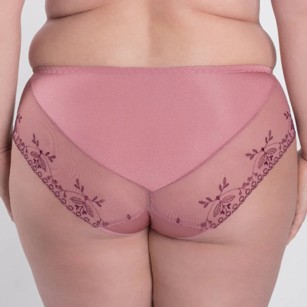 Sheer Mesh Tulle Embroidered Brief Panty Viola - STREET STYLE