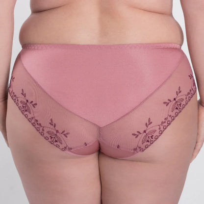 Sheer Mesh Tulle Embroidered Brief Panty Viola - STREET STYLE