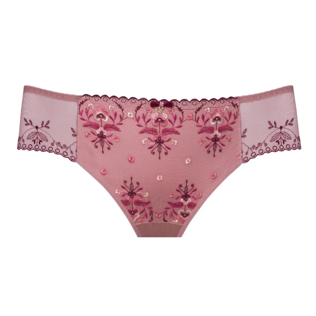 Sheer Mesh Tulle Embroidered Brief Panty Viola - STREET STYLE