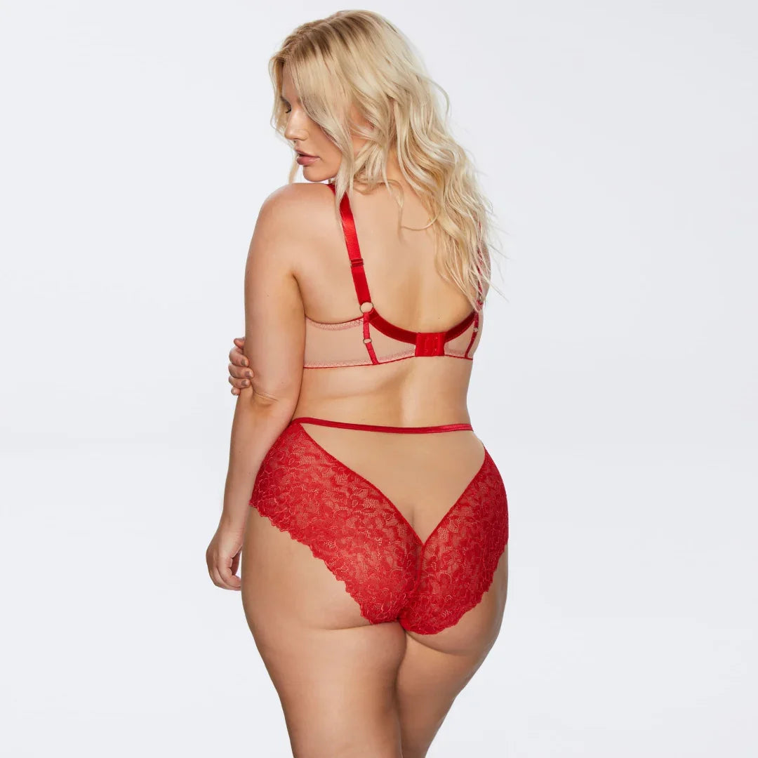 Sheer Mesh Full Busted Lace Bra Kinga Mind Love - STREET STYLE