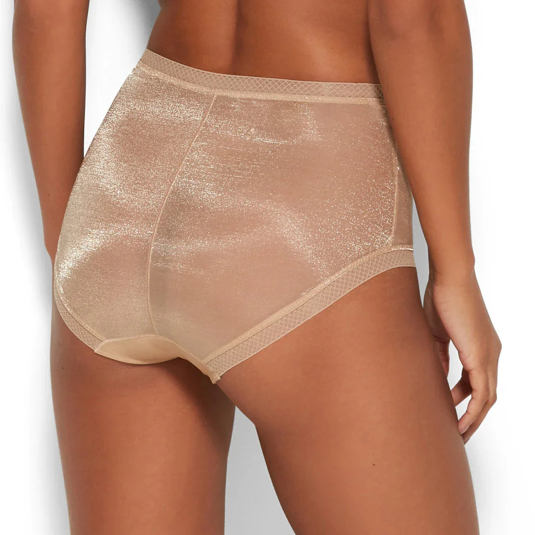 Sheer High Waist Brief Panty Glossies Nude - STREET STYLE