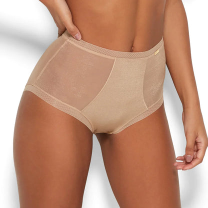 Sheer High Waist Brief Panty Glossies Nude - STREET STYLE