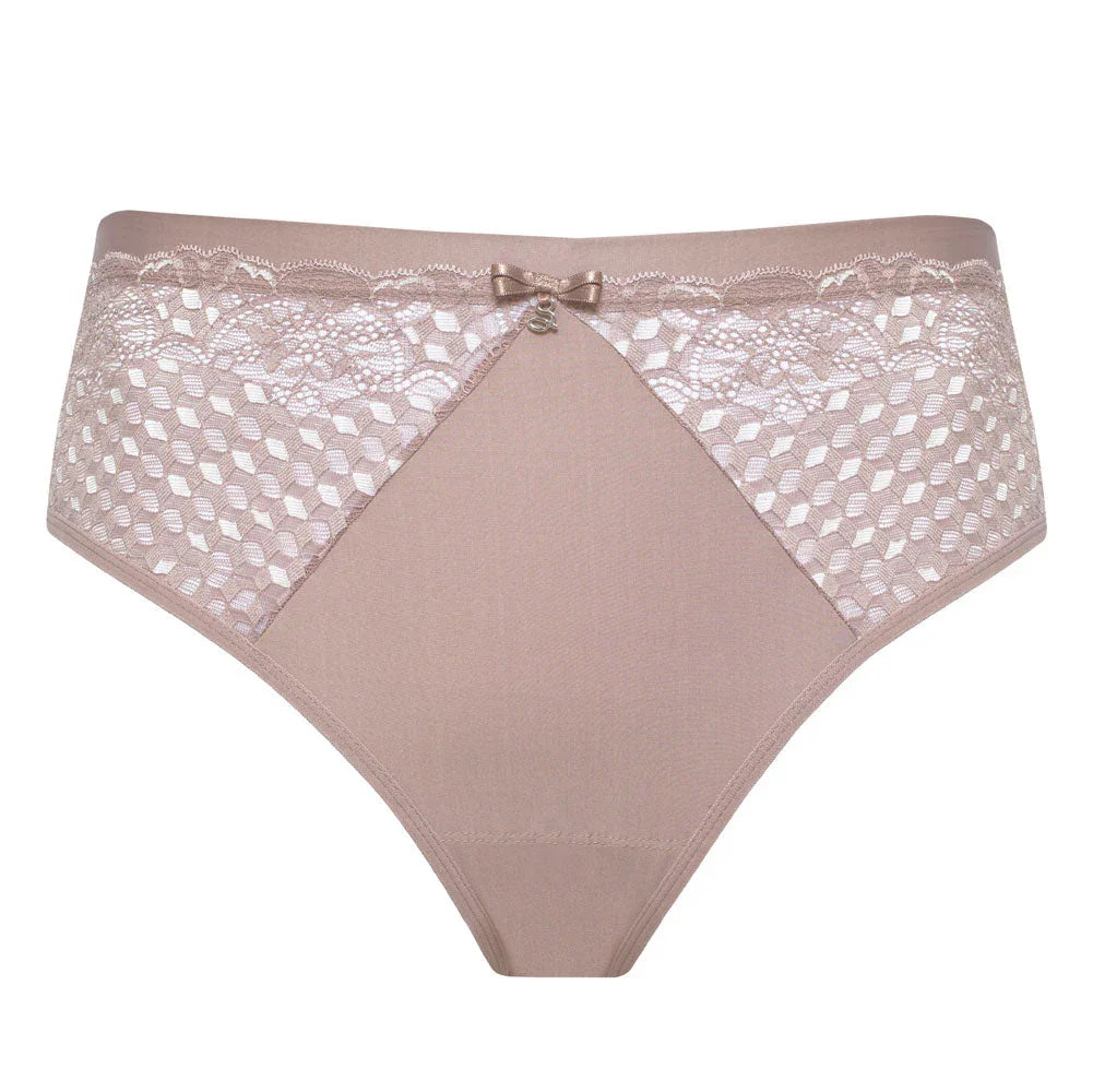 Sheer Mesh Tulle Lace Brief Panty Rosalia - STREET STYLE