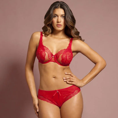 Sheer Lace Bikini Panty Lunaire Ashley - STREET STYLE