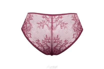 Sheer Mesh Lace Low Rise Bikini Panty Caro - STREET STYLE