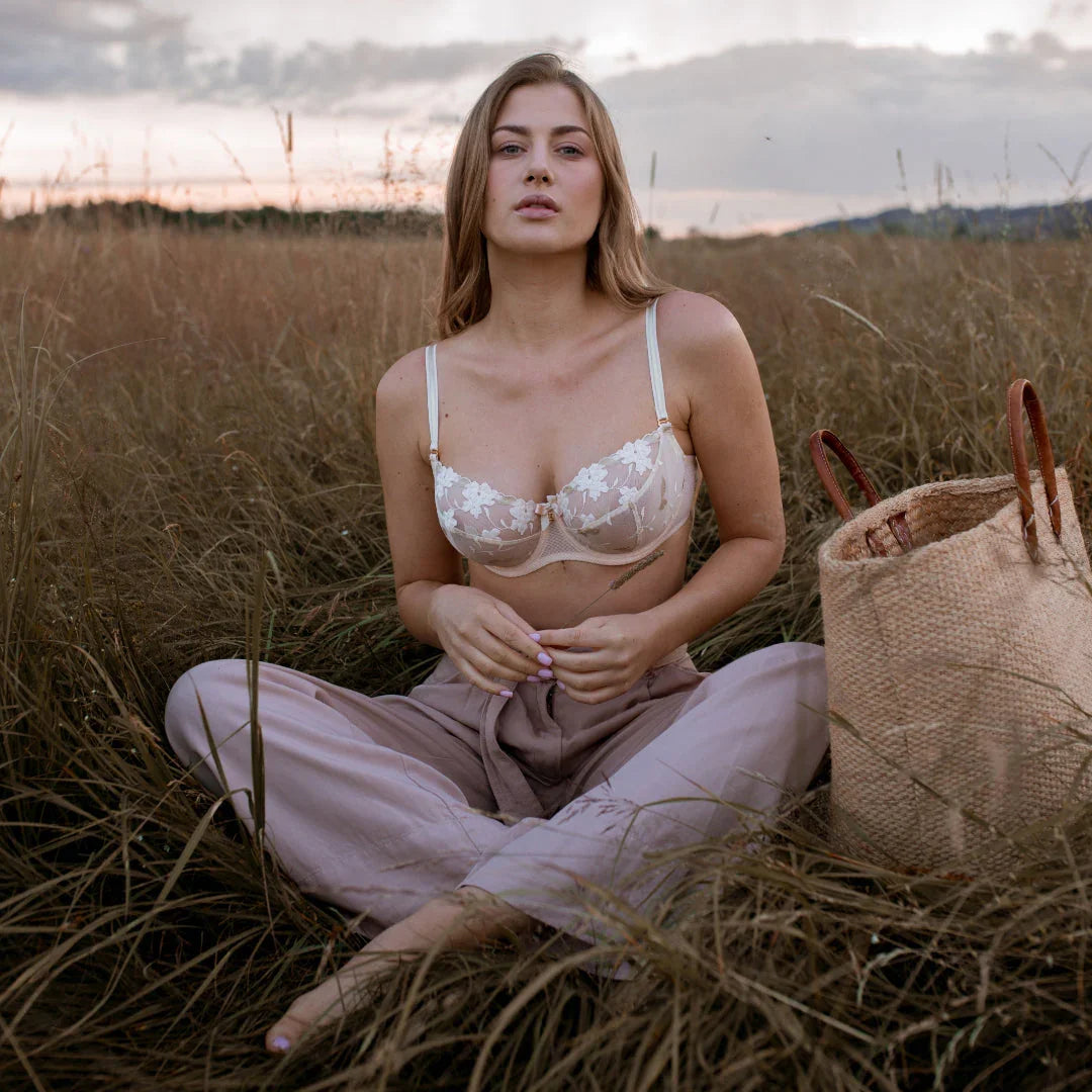 Sheer Mesh Tulle Embroidered Brief Panty Valeria Biscuit - STREET STYLE