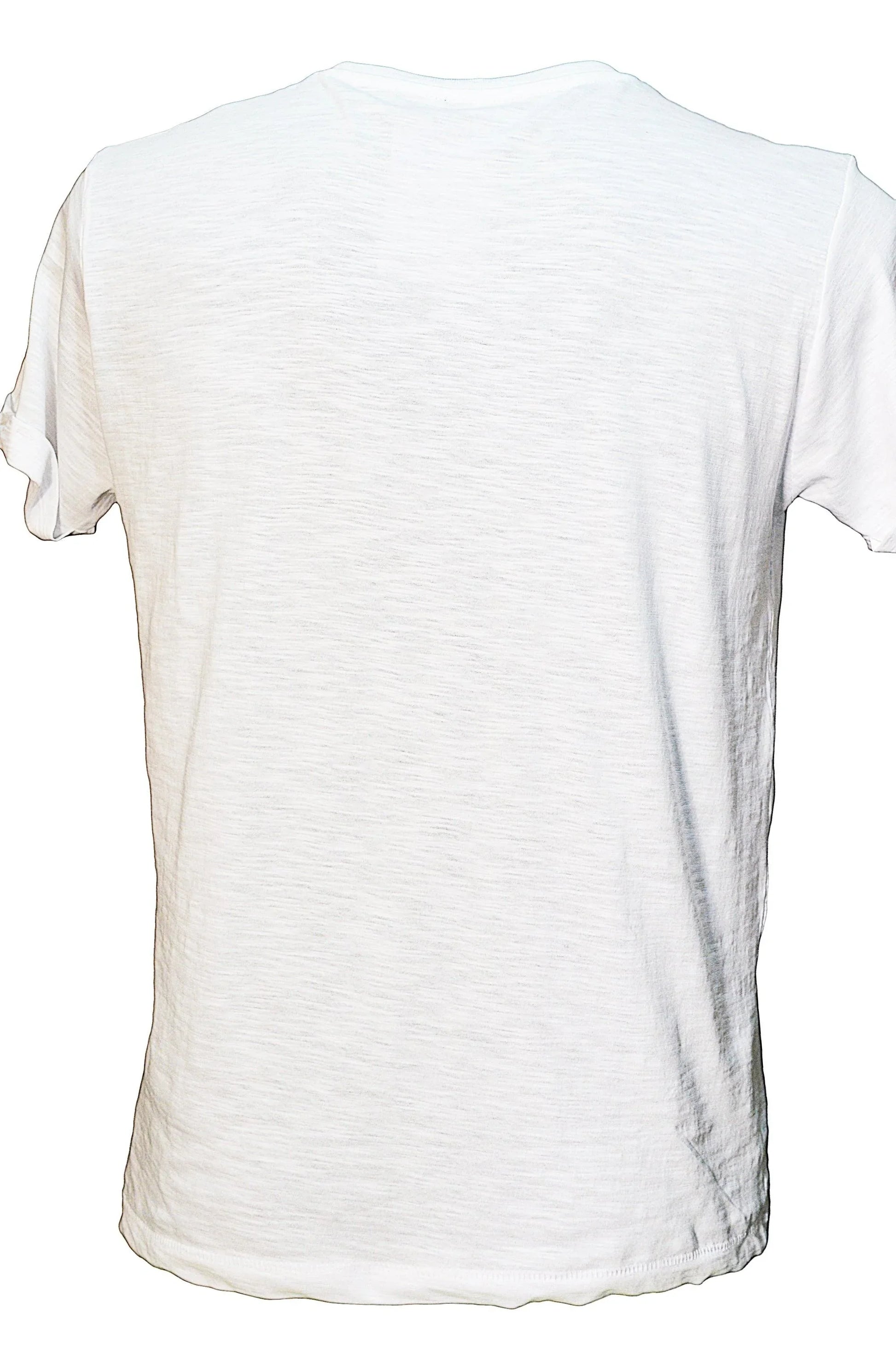 T-shirt Uomo STREET STYLE Leon – 100% Cotone Bio - STREET STYLE