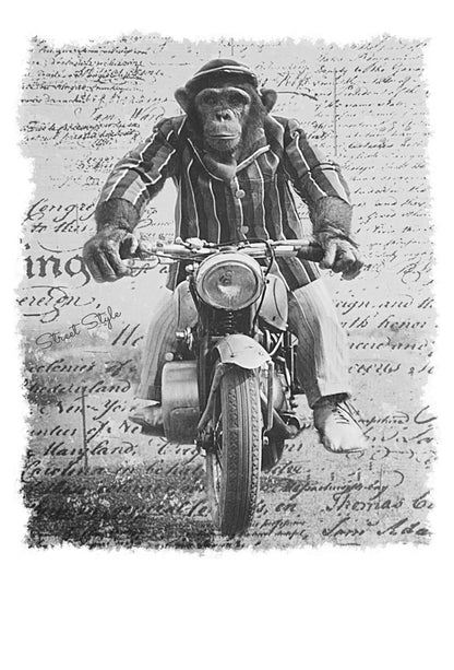 Monkey Dream Moto - T-shirt Uomo Urban 100% Cotone - STREET STYLE